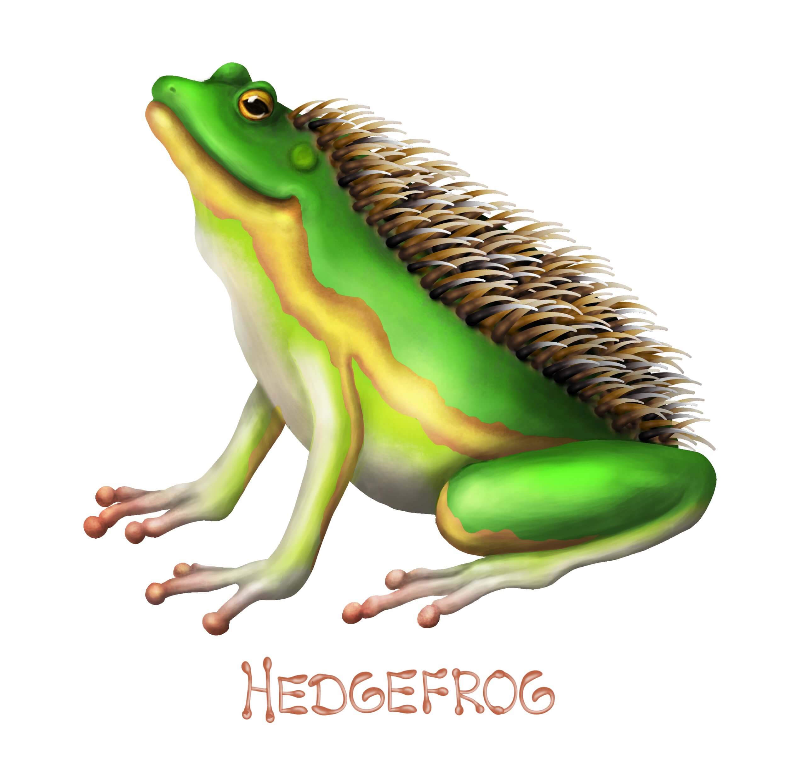 Imaginary animal: part hedgehog, part frog