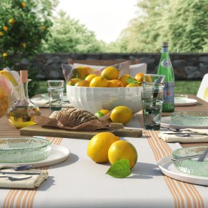 Summer picnic table scene